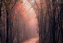 中国女足再次斩获胜利，风采依旧