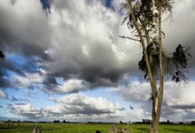 瑞典与克罗地亚对决，胜负难分